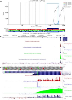 Exploring Evidence of Non-coding RNA Translation With Trips-Viz and GWIPS-Viz Browsers